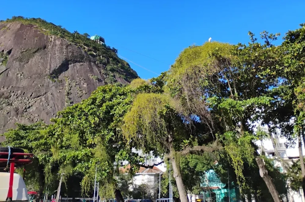 Casarão Histórico na Urca - Frutos do Mar
